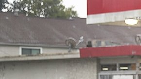 People walk down a flooded street as they evacuate their homes after the area was inundated with flooding from Hurricane Harvey on August 27, 2017 in Houston, Texas. Harvey, which made landfall north of Corpus Christi late Friday evening, is expected to dump upwards to 40 inches of rain in Texas over the next couple of days. Photo by Joe Raedle/Getty Images