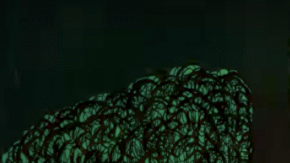 matias aguayo premiere_music