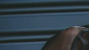 Stefficrown. Courtesy of the artist