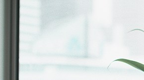 Photo by Donald Iain Smith / Blend Images