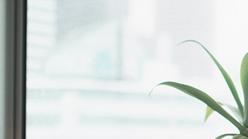 Photo by Donald Iain Smith / Blend Images