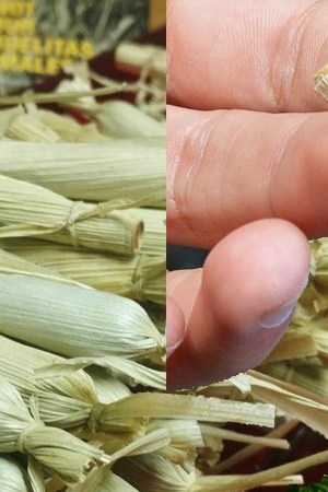 Art by Alan López for Remezcla