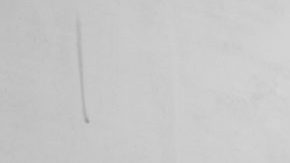 Courtesy of Lotus Netlabel