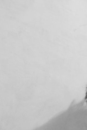 Courtesy of Lotus Netlabel