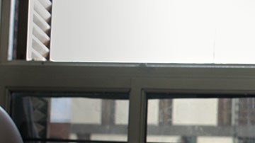 'Alanis' still courtesy of Toronto International Film Festival