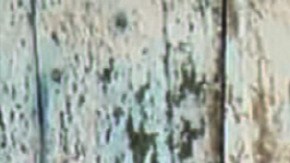 'Beyond La Bamba' film still. Courtesy of Latino Public Broadcasting