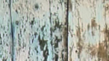 'Beyond La Bamba' film still. Courtesy of Latino Public Broadcasting