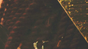 Photo by Ojos Nebulosos. Courtesy of DJ Bembona