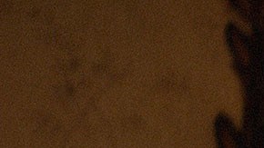 'Una mujer fantastica' still courtesy of TIFF 2017