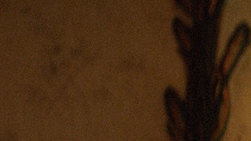 'Una mujer fantastica' still courtesy of TIFF 2017