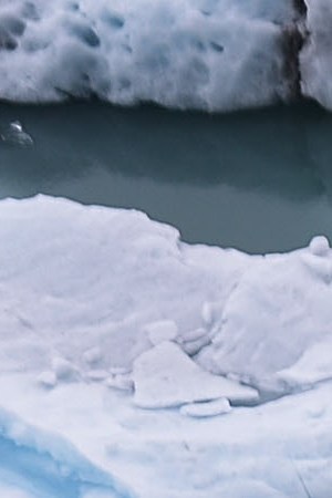 Glacial melting ice floats in Los Glaciares National Park, part of the Southern Patagonian Ice Field, the third largest ice field in the world, on November 26. Photo by Mario Tama/Getty Images News