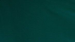 Photo by AWSeebaran/	iStock / Getty Images Plus