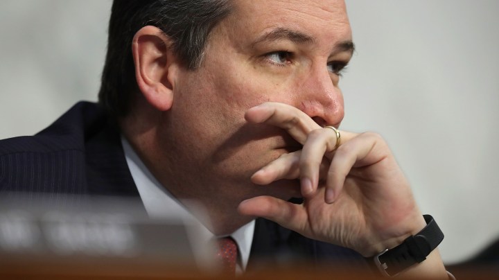 Senate Judicary Committee member Sen. Ted Cruz (R-TX) listens to witnesses during a subcommittee hearing on Russian interference in the 2016 election in the Hart Senate Office Building on Capitol Hill May 8, 2017 in Washington, DC. Photo by Chip Somodevilla/Getty Images