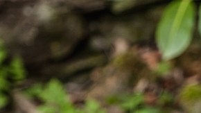 Photo by Sean Robertson / EyeEm