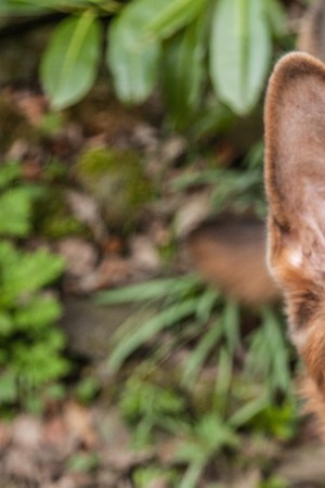 Photo by Sean Robertson / EyeEm