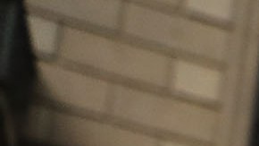 Dozens of immigration advocates and supporters attend a rally outside of  Trump Tower along Fifth Avenue on August 15, 2017 in New York City. Photo by Spencer Platt/Getty Images News