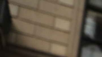 Dozens of immigration advocates and supporters attend a rally outside of  Trump Tower along Fifth Avenue on August 15, 2017 in New York City. Photo by Spencer Platt/Getty Images News