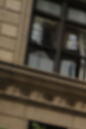 Dozens of immigration advocates and supporters attend a rally outside of  Trump Tower along Fifth Avenue on August 15, 2017 in New York City. Photo by Spencer Platt/Getty Images News