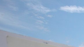 People hold signs over the 110 freeway as thousands of immigrants and supporters join the Defend DACA March to oppose the President Trump order to end DACA on September 10, 2017 in Los Angeles, California. Photo by David McNew/Getty Images News