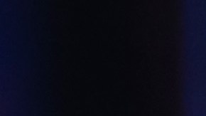 Gael García Bernal at the 2017 Toronto International Film Festival.  (Photo by Jemal Countess/Getty Images)