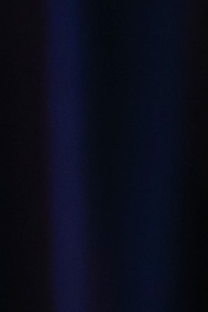 Gael García Bernal at the 2017 Toronto International Film Festival.  (Photo by Jemal Countess/Getty Images)