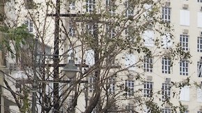 A resident cleans brush from the street in the Miramar neighborhood after Hurricane Maria made landfall on September 20, 2017 in San Juan, Puerto Rico. Photo by Alex Wroblewski/Getty Images  News