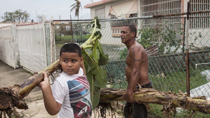 Residents clear the streets after Hurricane Maria made landfall, September 21, 2017 in the Guaynabo suburb of San Juan, Puerto Rico. Photo by Alex Wroblewski/Getty Images News