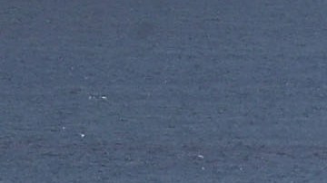A U.S. Coast Guard cutter is seen in port as people deal with the aftermath of Hurricane Maria on September 25, 2017 in San Juan Puerto Rico. Photo by Joe Raedle/Getty Images News