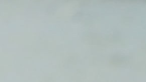 Gary Flores and Tabatha Flores stand in line with other people to get on a Royal Caribbean International, Adventure of the Seas, relief boat that is sailing to Ft. Lauderdale, Florida with evacuees that are fleeing after the island was hit by Hurricane Maria Photo by Joe Raedle/Getty Images News