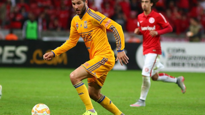Tigres