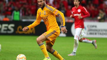 Tigres