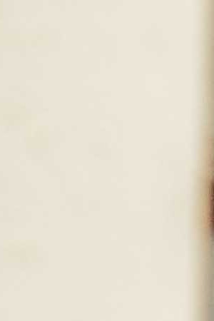 Photo by Itzel Alejandra Martinez for Remezcla