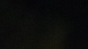 Photo by Brandon English. Courtesy of photographer.