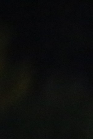 Photo by Brandon English. Courtesy of photographer.