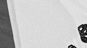 Photo by AWSeebaran/	iStock / Getty Images Plus