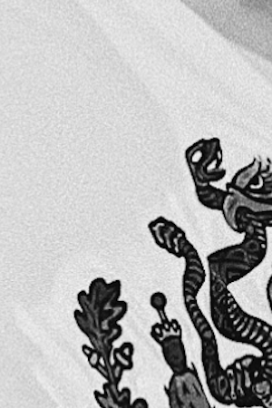 Photo by AWSeebaran/	iStock / Getty Images Plus