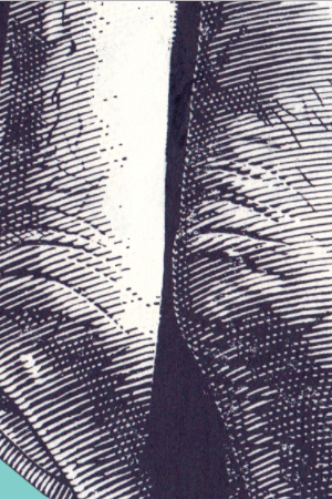 Cover of 'Colección particular'