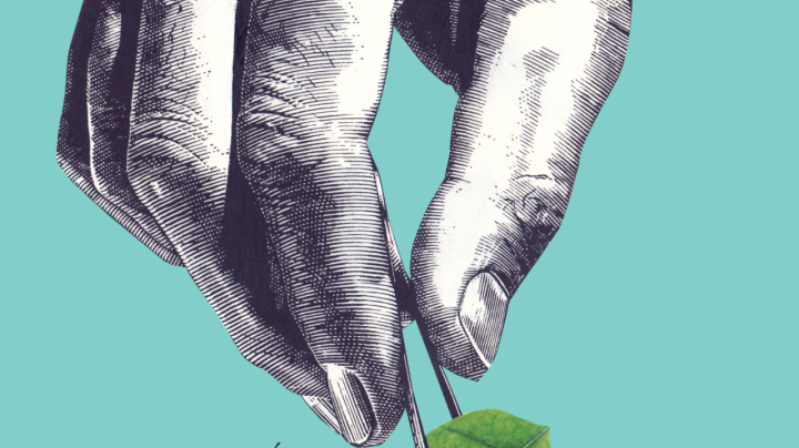 Cover of 'Colección particular'