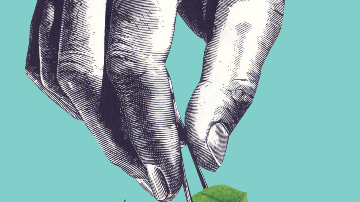 Cover of 'Colección particular'