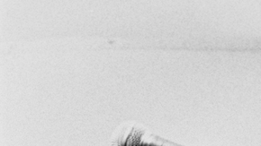 Courtesy of Music Box Films