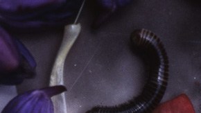 Art by Alan López for Remezcla