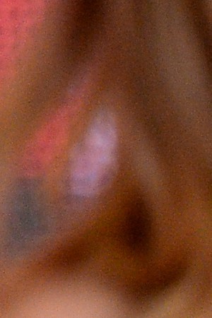 Writer/director/producer Guillermo del Toro speaks  onstage during "The Shape of Water" press conference during 2017 Toronto International Film Festival. Photo by GP Images/WireImage. Courtesy of TIFF