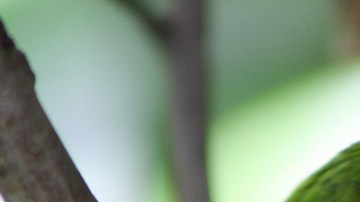 Creative Commons by Kati Fleming is licensed under CC BY 3.0