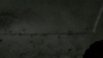 'Wonderstruck' still courtesy of NYFF55