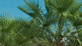 'Zama' still courtesy of TIFF