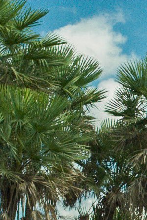 'Zama' still courtesy of TIFF