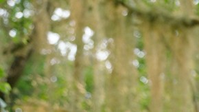 Natalie Portman and Tessa Thompson in 'Annihilation.'Photo by: Peter Mountain. Courtesy of Paramount Pictures.