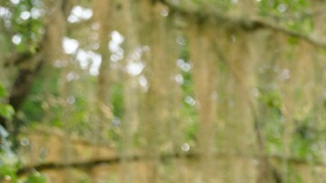 Natalie Portman and Tessa Thompson in 'Annihilation.'Photo by: Peter Mountain. Courtesy of Paramount Pictures.
