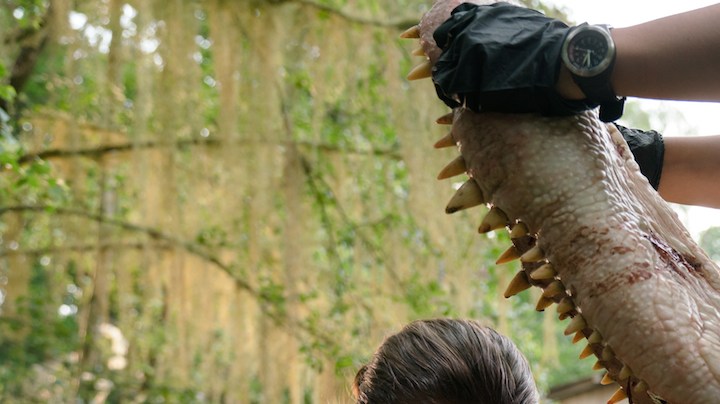 Natalie Portman and Tessa Thompson in 'Annihilation.'Photo by: Peter Mountain. Courtesy of Paramount Pictures.