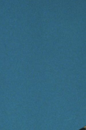 "C.Tangana" by Javi Ruiz licensed under CC BY SA-4.0